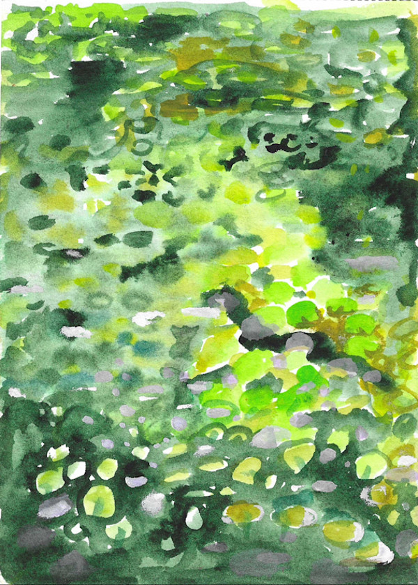 Green Pond in Prospect Park, Fig 2 by Michelle Hinebrook, Image 1.