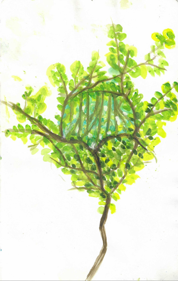 Tree Aperture by Michelle Hinebrook, Image 1.