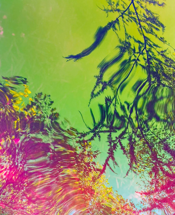 Jealous Sky by Michelle Hinebrook