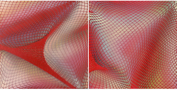 Supple Series by Michelle Hinebrook