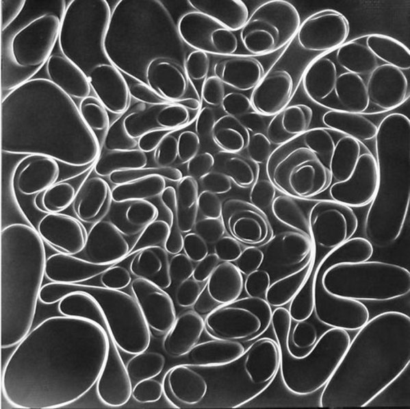 Snap 6 by Michelle Hinebrook