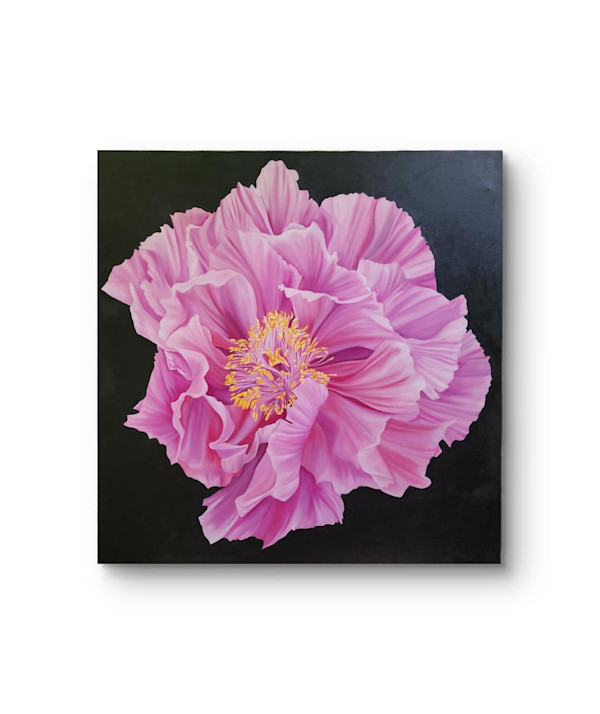 Pink Peony awaiting name by Alisha Morgan Art, Image 10.