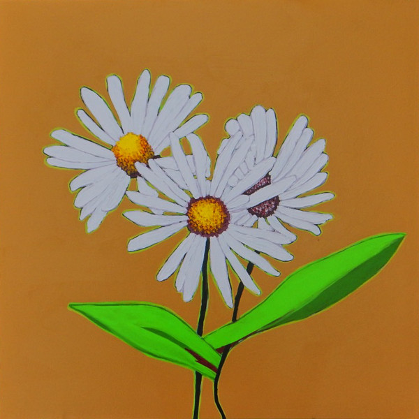 Banff Daisies by Jessica