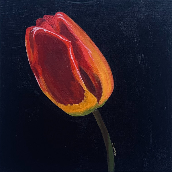 Red Tulip