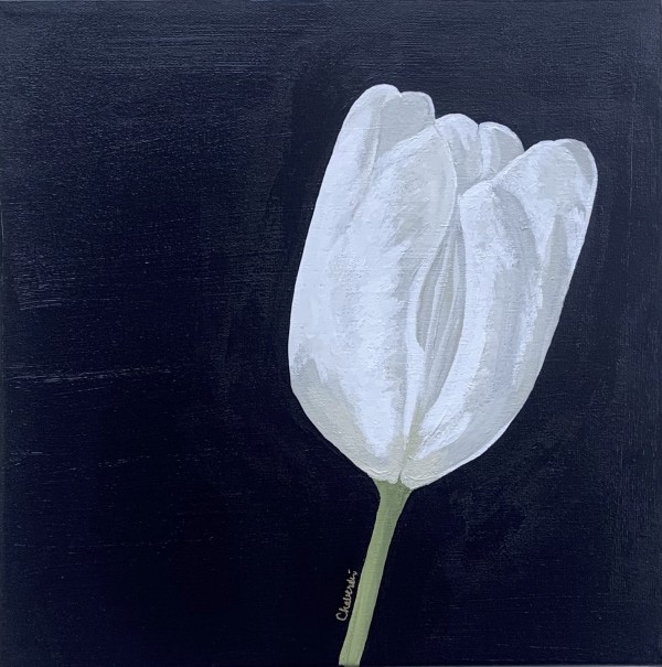 White Tulip