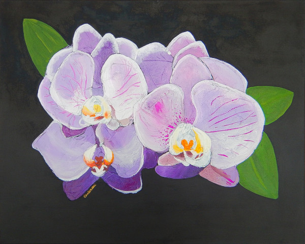 Purple Orchids