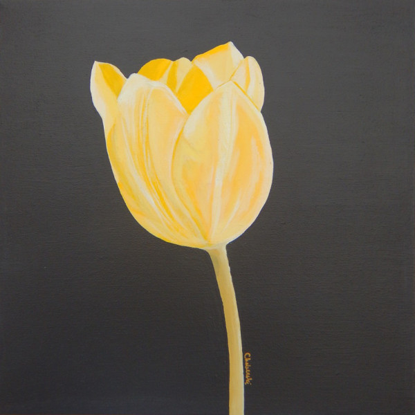 Yellow Tulip