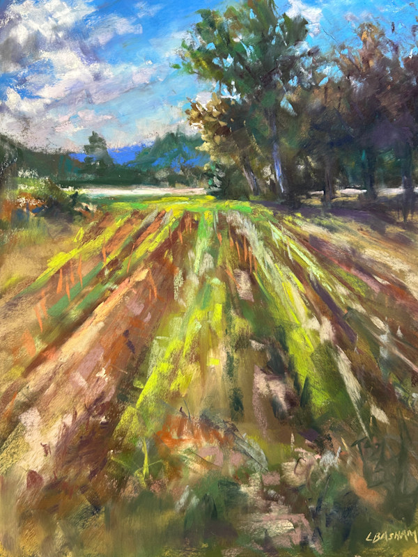 After the Harvest by Laurie Basham