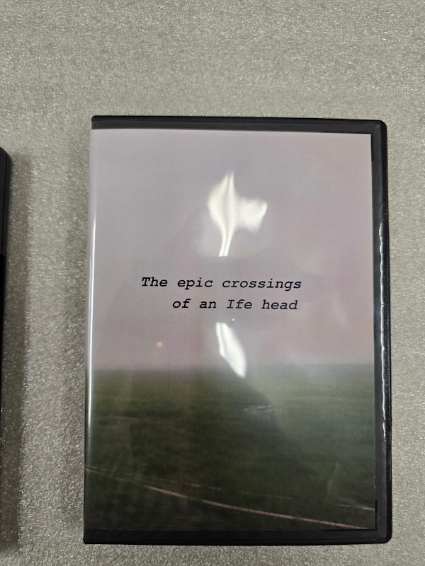 The epic crossings of an Ife head by Wura-Natasha Ogunji