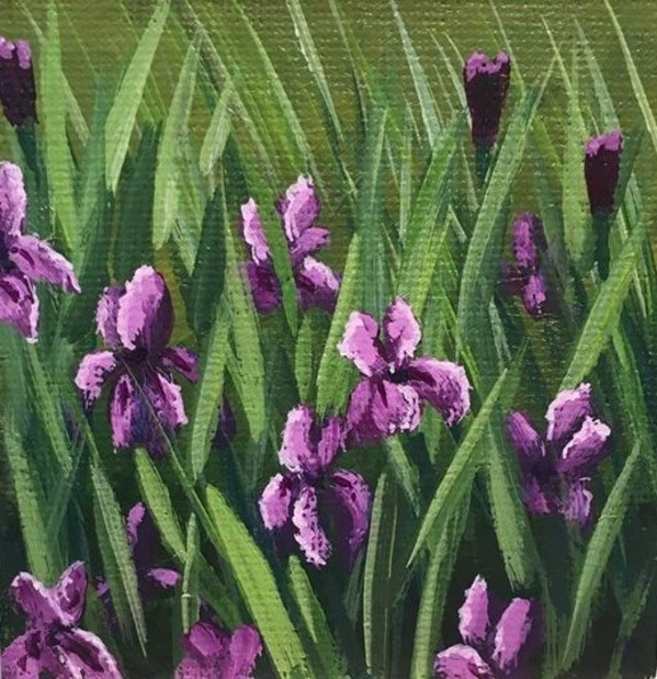 Purple Irises