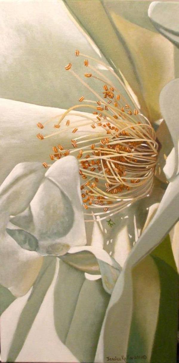 Rose and the Aphid by Jessica Keller