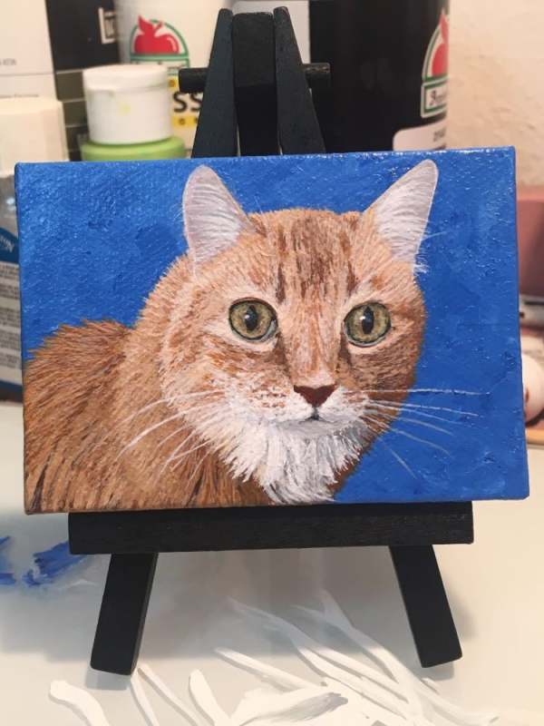 Cat Portraits by Jessica Keller