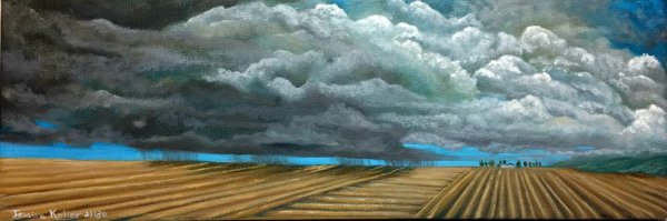 Farmland Storm
