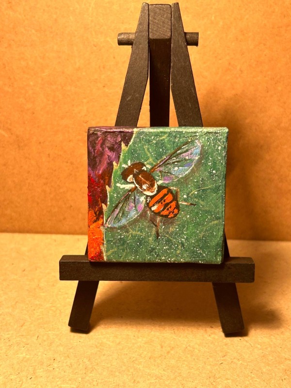 Hover Fly by Jessica Keller