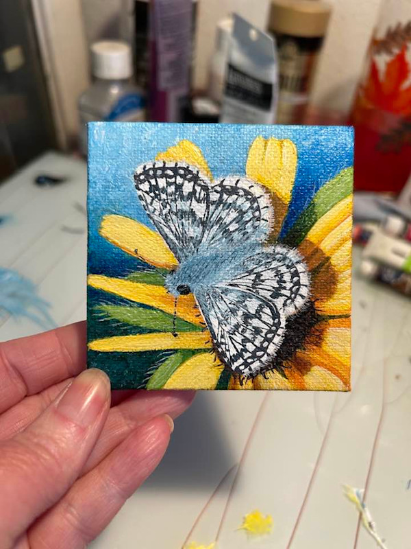 White Checkered Skipper by Jessica Keller