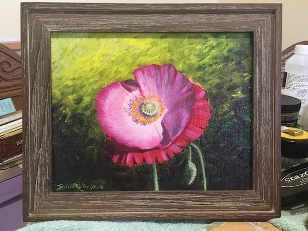 Icelandic Poppy by Jessica Keller