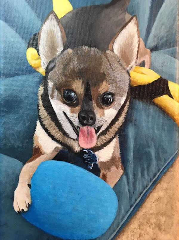 Gizmo by Jessica Keller