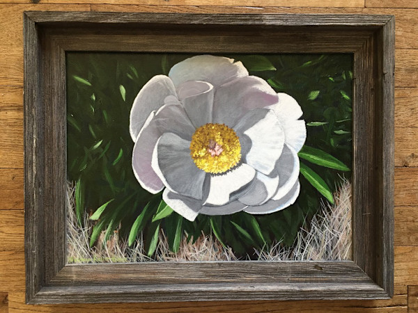 Untitled White Flower #2 by Jessica Keller