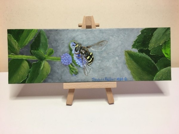 Hover Fly by Jessica Keller