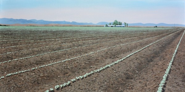 Cotton Farm by Jessica Keller