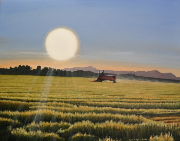 Alfalfa Field by Jessica Keller