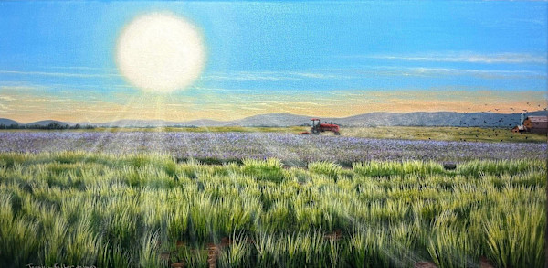 Afternoon Harvest by Jessica Keller