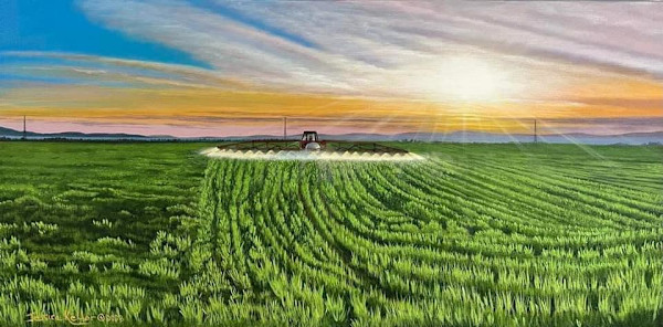 Morning Showers by Jessica Keller