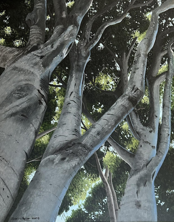 Through the Trees #1 by Jessica Keller