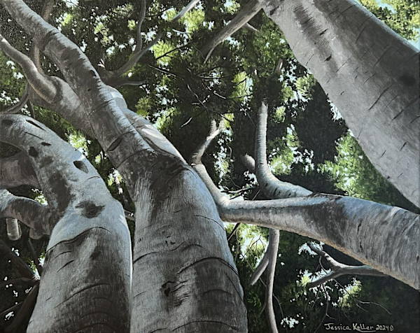 Through the Trees #2 by Jessica Keller