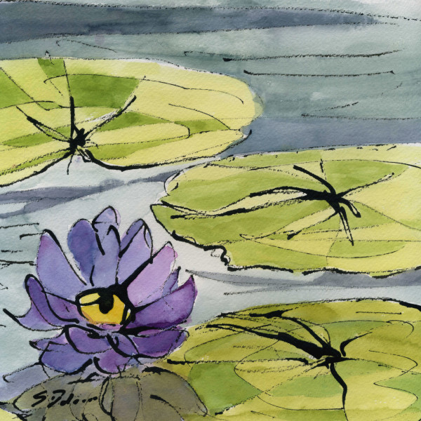 Lotus in Violet by Sue Dolamore