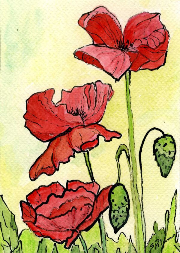 Crimson Song by Sue Dolamore