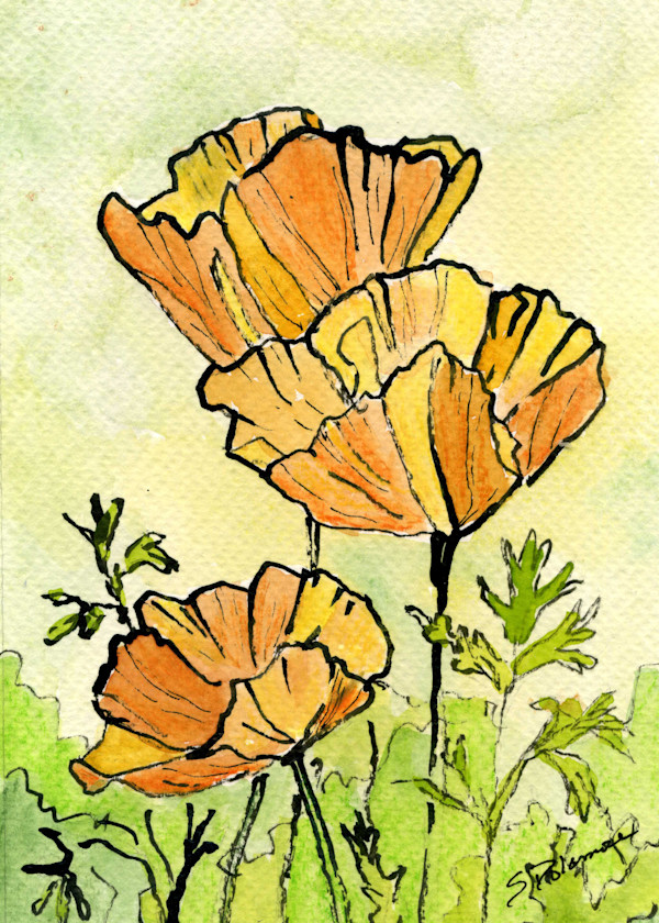 Orange Echoes by Sue Dolamore