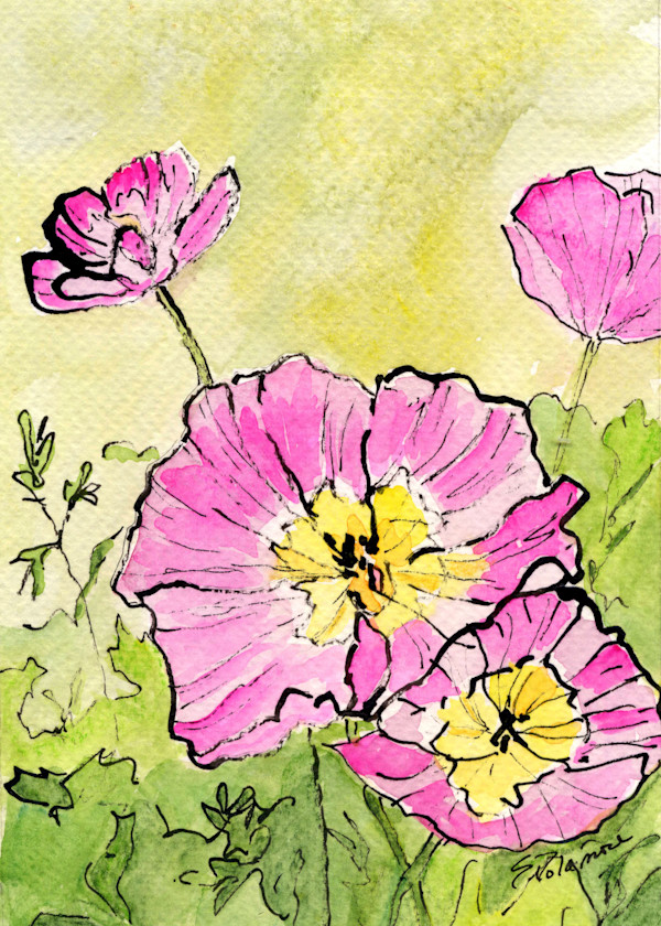 Hot Pink Whispers by Sue Dolamore