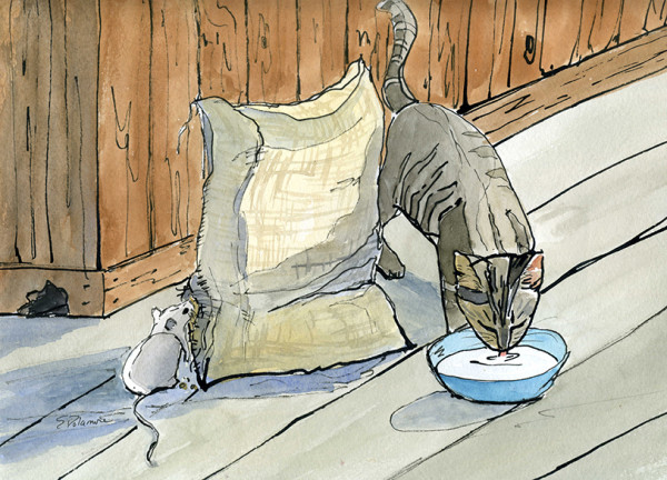 Cat and Mouse by Sue Dolamore