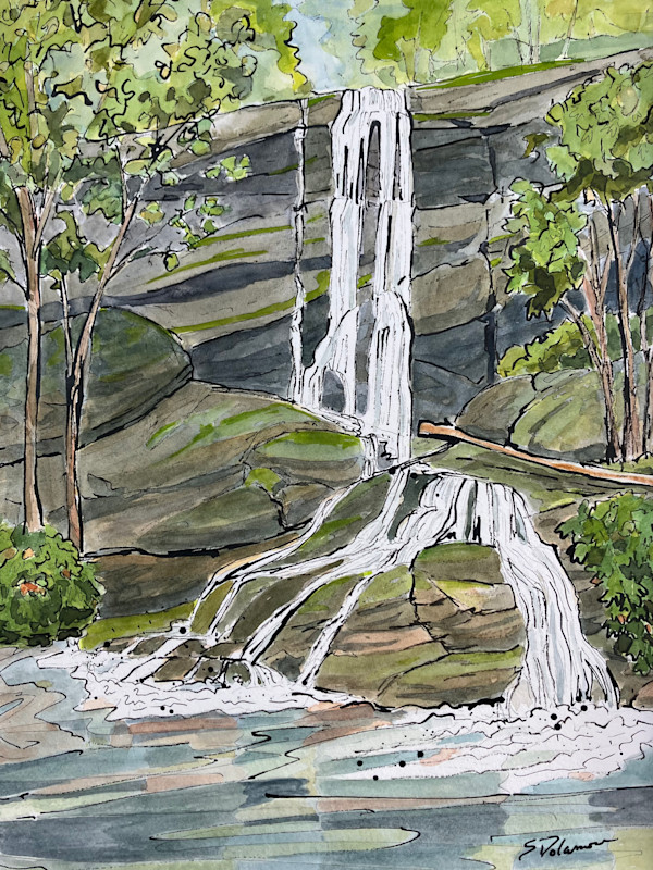 Mosses and Mists by Sue Dolamore