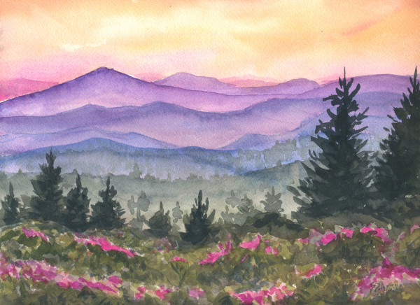Rhododendron Sunset by Sue Dolamore