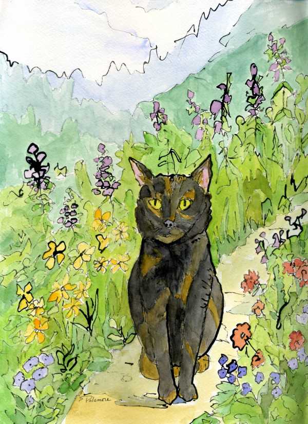 Cat in the Garden by Sue Dolamore