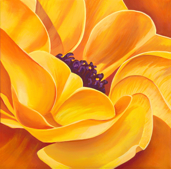 No. 136 Ranunculus - Inner Glow by Renée Switkes