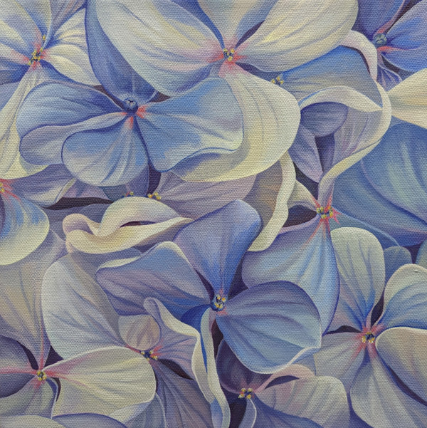 No. 125 Hydrangea - Boundless by Renée Switkes