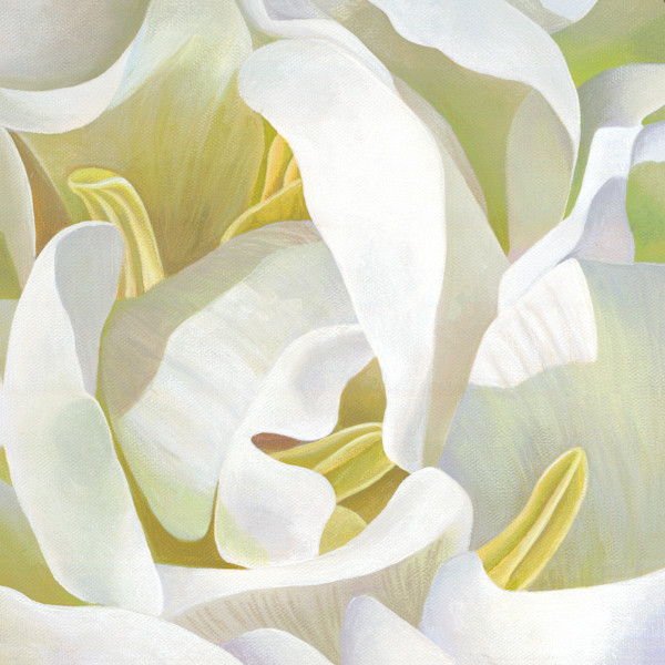No. 135 Double Tulip - Whispered Affection by Renée Switkes