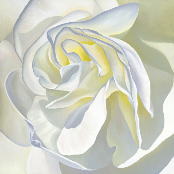 No. 75 Rose; Empowerment by Renée Switkes