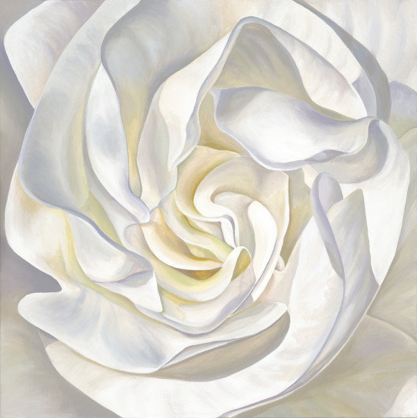 No. 74 Gardenia; Harmony by Renée Switkes