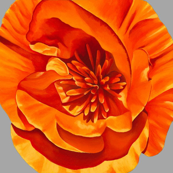 No. 107 California Poppy - Peace by Renée Switkes