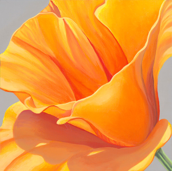 No. 118 California Poppy - Keep Hope Alive by Renée Switkes