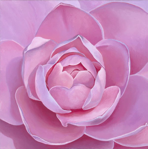 No. 102 Camellia; Heartfelt by Renée Switkes