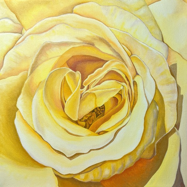 No. 34 Yellow Rose; Searching for Love