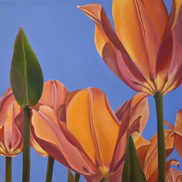 No. 38 Tulips; Rise with Enthusiasm by Renée Switkes