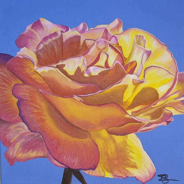 No. 19 Rose, Tuscan Sun by Renée Switkes