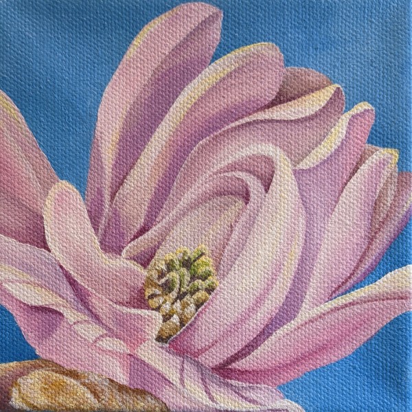 No. 57 Magnolia; Confident by Renée Switkes