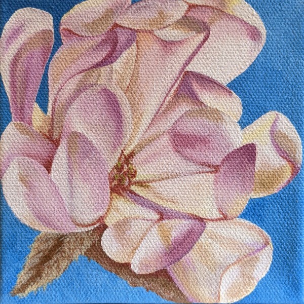 No. 58 Magnolia - Perseverance by Renée Switkes